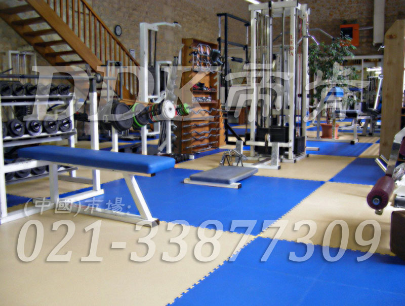 室內健身房運動地面材料（26）_天藍色加淺灰色